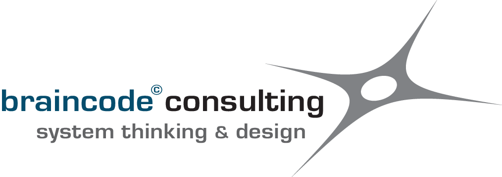 braincode consulting